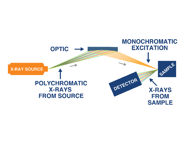 xos-obyavila-o-vypuske-seromera-petra-max-61